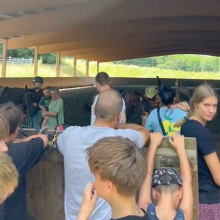 Größeres Bild ansehen